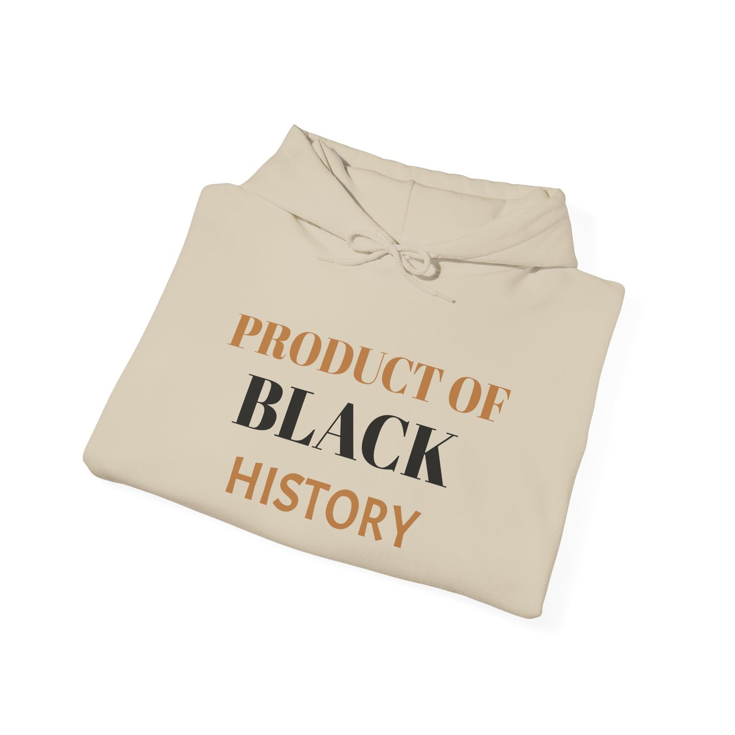 Product of Black History Hooded Sweatshirt